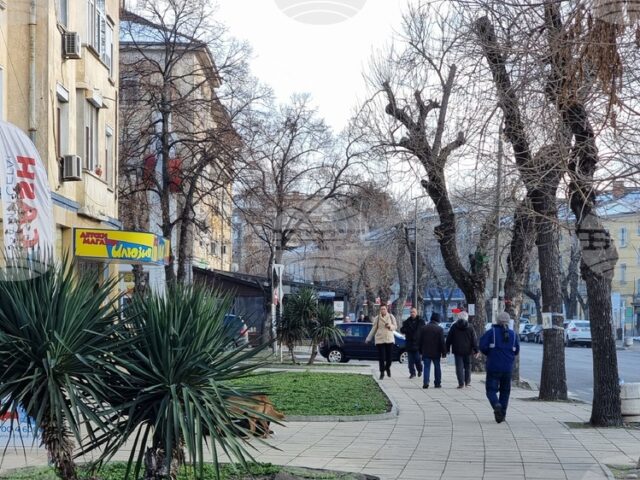 Над 95 на сто от домакинствата в област Кърджали са Над 95 на сто от домакинствата в област Кърджали са имали достъп до интернет през 2025 г.