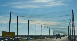 Назначеният от Русия губернатор на Херсонска област заяви, че 24 души са загинали при удари по време на новогодишните празненства