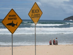 Нападнатото преди седмица от акула 12-годишно момче на плаж край австралийския град Сидни е починало, съобщиха местни медии