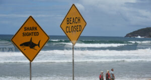 Нападнатото преди седмица от акула 12-годишно момче на плаж край австралийския град Сидни е починало, съобщиха местни медии