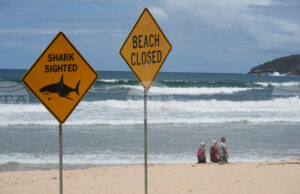 Нападнатото преди седмица от акула 12-годишно момче на плаж край австралийския град Сидни е починало, съобщиха местни медии