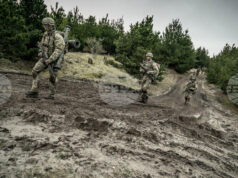 Няма китайски или руски кораби край Гренландия, каза датски генерал на фона на посещение на американски конгресмени в Копенхаген