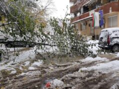 Обработени са общо 35 сигнала, основно за паднали клони на дървета и образували се завирявания, съобщиха от Столична община