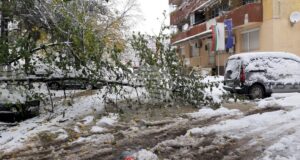 Обработени са общо 35 сигнала, основно за паднали клони на дървета и образували се завирявания, съобщиха от Столична община