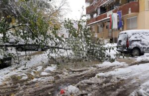 Обработени са общо 35 сигнала, основно за паднали клони на дървета и образували се завирявания, съобщиха от Столична община