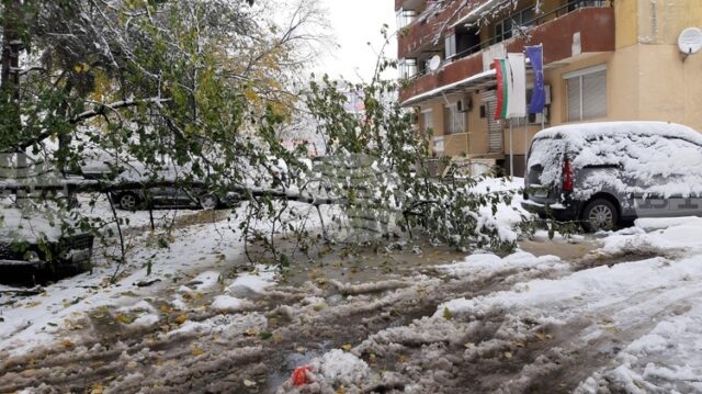 Обработени са общо 35 сигнала, основно за паднали клони на дървета и образували се завирявания, съобщиха от Столична община
