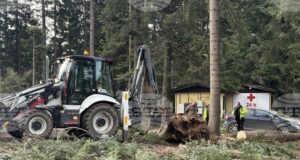 Паднали дървета в Боровец са нанесли щети върху три автомобила, туристи са извозени от последната лифт станция до курорта, каза Николай Стойнов