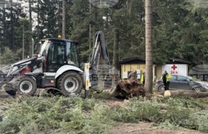 Паднали дървета в Боровец са нанесли щети върху три автомобила, туристи са извозени от последната лифт станция до курорта, каза Николай Стойнов