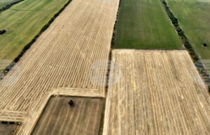 Правителството в оставка актуализира Тарифата за таксите по поземлена собственост у нас в съответствие с изискванията за еврото