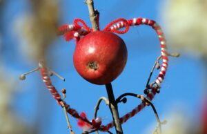 Празнуваме Васильовден или Сурваки