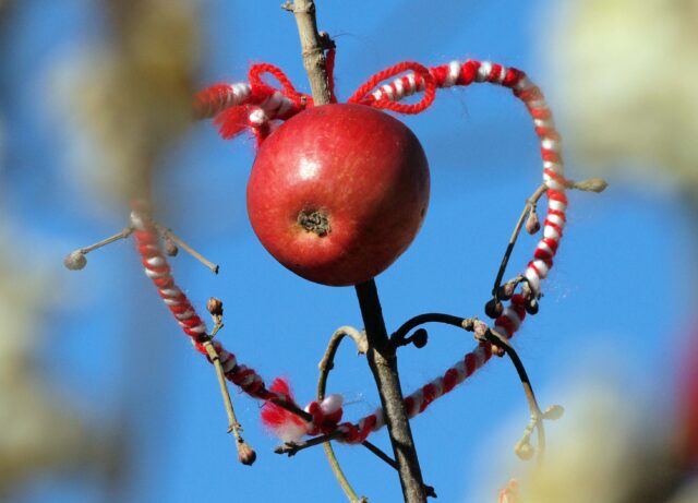 Празнуваме Васильовден или Сурваки