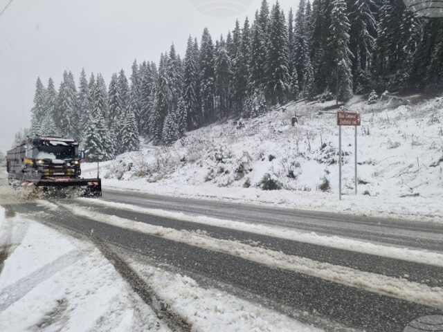 Републиканските пътища са почистени и проходими при зимни условия, на Републиканските пътища са почистени и проходими при зимни условия, на терен работят 101 машини, съобщиха от пътната агенция