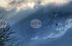 Силен до ураганен вятър духа във високата част на планините, туризъм се препоръчва в горския пояс, съобщиха от Планинската спасителна служба на БЧК