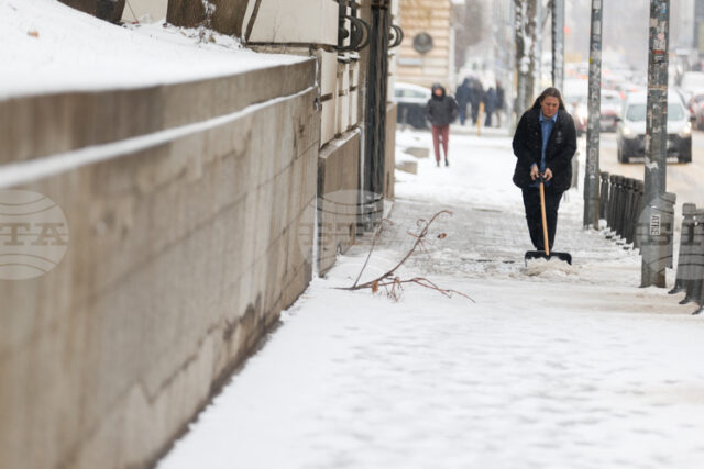 След първия снеговалеж са наложени 46 глоби на търговски обекти за непочистени тротоари, съобщиха от Столична община