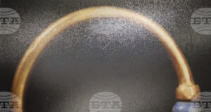 Служителката, откраднала фараонска гривна от Египетския музей, е осъдена на 15 години затвор