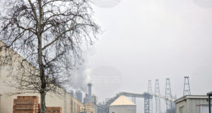 Съдът в Бургас спря предварителното изпълнение на принудителната административна мярка за спиране на линия на „Кроношпан“, съобщават от компанията