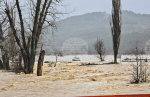Създадена е организация за защита на населението в Крумовград и Кирково, съобщи Министерството на околната среда и водите