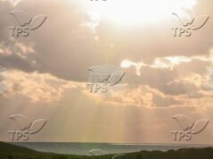 ТПС: Израелски учени разработиха полупрозрачни соларни панели, които могат да превърнат всеки прозорец в източник на енергия