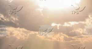 ТПС: Израелски учени разработиха полупрозрачни соларни панели, които могат да превърнат всеки прозорец в източник на енергия