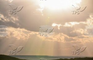 ТПС: Израелски учени разработиха полупрозрачни соларни панели, които могат да превърнат всеки прозорец в източник на енергия