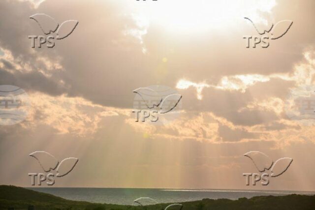 ТПС: Израелски учени разработиха полупрозрачни соларни панели, които могат да превърнат всеки прозорец в източник на енергия