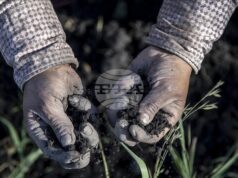 АА: Според ново проучване 70–100% от гените на европейците идват преди хилядолетия от западноанадолски земеделци АА: Според ново проучване 70–100% от гените на европейците идват преди хилядолетия от западноанадолски земеделци