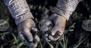 АА: Според ново проучване 70–100% от гените на европейците идват преди хилядолетия от западноанадолски земеделци