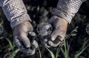 АА: Според ново проучване 70–100% от гените на европейците идват преди хилядолетия от западноанадолски земеделци