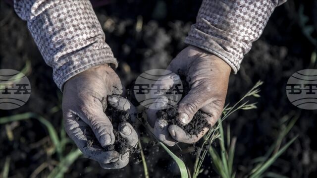 АА: Според ново проучване 70–100% от гените на европейците идват преди хилядолетия от западноанадолски земеделци
