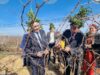 В Института по лозарство и винарство в Плевен спазиха традицията и зарязаха лозите на празника Трифон Зарезан