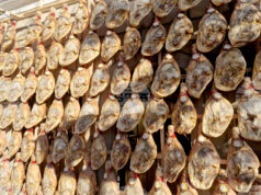 В две туристически борси ще участва Община Елена през февруари