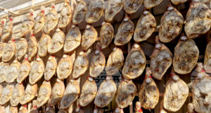 В две туристически борси ще участва Община Елена през февруари