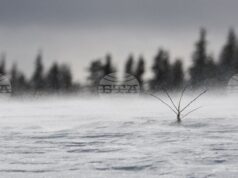 Времето в планините е подходящо за ски, съобщиха от Планинската спасителна служба на БЧК