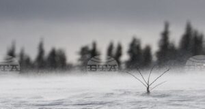 Времето в планините е подходящо за ски, съобщиха от Планинската спасителна служба на БЧК