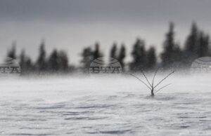 Времето в планините е подходящо за ски, съобщиха от Планинската спасителна служба на БЧК Времето в планините е подходящо за ски, съобщиха от Планинската спасителна служба на БЧК