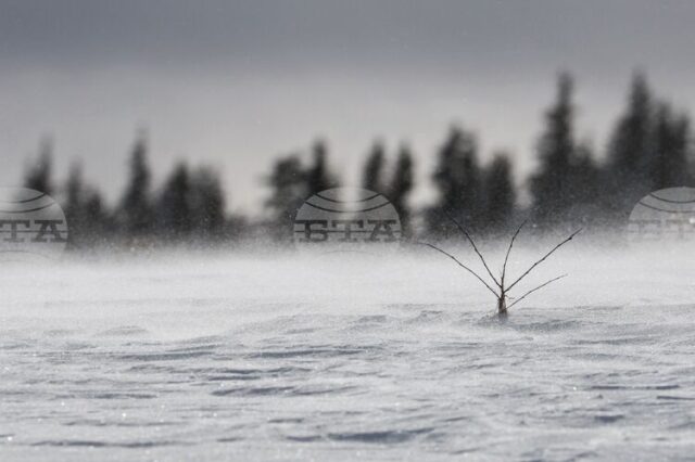 Времето в планините е подходящо за ски, съобщиха от Планинската спасителна служба на БЧК