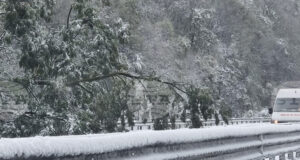 Въвеждат се ограничения за автомобили над 12 тона на магистрала „Хемус“ в областите София и Ловеч поради силен снеговалеж и почистване