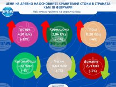 Доматите поевтиняват, докато яйцата и гроздето поскъпват, сочат данните на САПИ за цените на дребно у нас тази седмица
