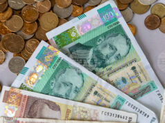 Изтеглени са 87 процента от левовете, които са били в обращение в началото на 2025 г. , съобщават от БНБ