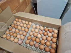 Над 86 000 кокоши яйца без документи, открити при съвместна акция с полицията в Харманли, ще бъдат унищожени, съобщи БАБХ