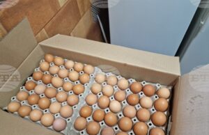 Над 86 000 кокоши яйца без документи, открити при съвместна акция с полицията в Харманли, ще бъдат унищожени, съобщи БАБХ