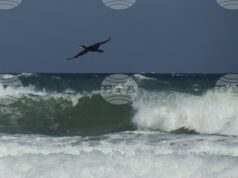 Националният борд за разследване на произшествията в транспорта ще установява причините за потъналия кораб край Маслен нос Националният борд за разследване на произшествията в транспорта ще установява причините за потъналия кораб край Маслен нос