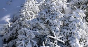 Прогноза за времето