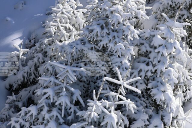 Прогноза за времето Прогноза за времето