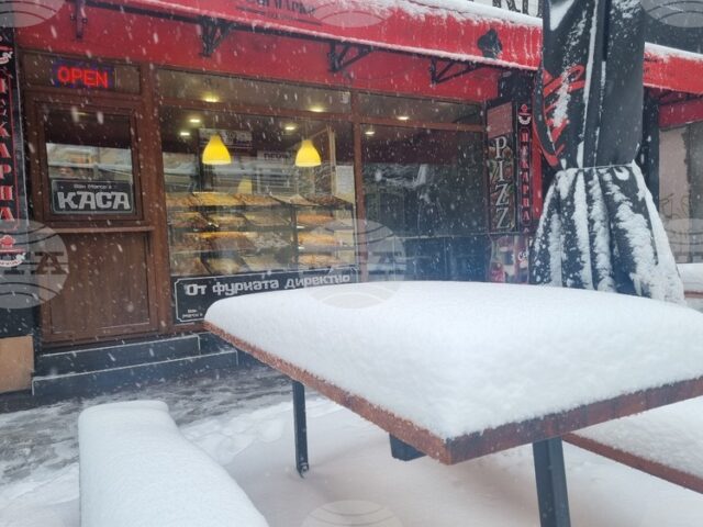 Продажбите на едро в област Търговище намаляват с 2,8 на сто през 2024 г., отчита статистиката