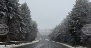 Републиканските пътища се обработват от 290 снегорина, почистени и проходими са при зимни условия