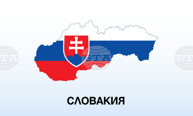 ТАСР: Словашки пожарникари помагат в борбата с голям горски пожар в България