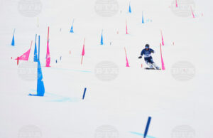 Тервел Замфиров /