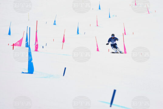 Тервел Замфиров /