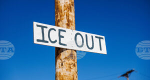 Френската технологична компания „Капджемини“ ще продаде свое американско подразделението заради връзки с ICE